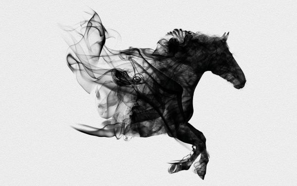 rymill wine dark horse illustration